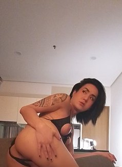 Kaycee 🌬️Big Cock - Acompañantes transexual in Kuala Lumpur Photo 20 of 21