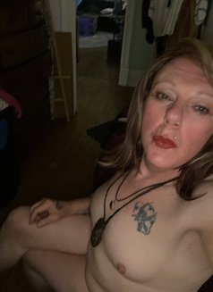 Kaycie - Acompañantes transexual in Barrie Photo 2 of 2