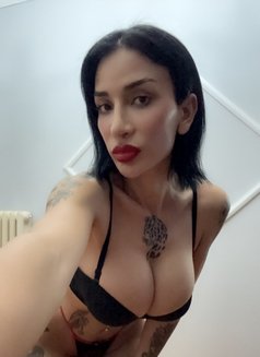 Kayla - Transsexual escort in İstanbul Photo 11 of 15