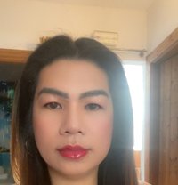 Kc29 - Transsexual escort in Marbella