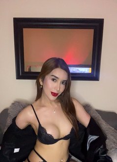 Kcey - Transsexual escort in Doha Photo 4 of 5