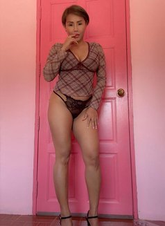 🥂Keaw full service 🥂 - escort in Doha Photo 8 of 8