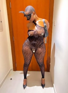 Venus Outcall professional pornstar - puta in Dubai Photo 1 of 15