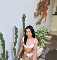 Keilani Small and Cute Pretty Escort - escort in Bali Photo 1 of 6
