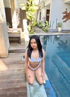 Keilani Small and Cute Pretty Escort - escort in Bali Photo 6 of 6