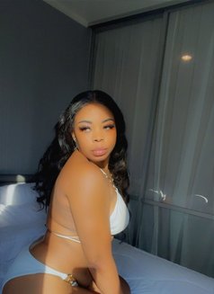 Keirr - escort in Bangkok Photo 4 of 11