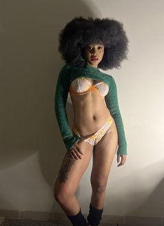 Keisha Storm - puta in Dubai Photo 7 of 9