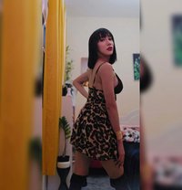 Queenly exotic asian. ladyboy 🇵🇭 - Transsexual escort in Dubai