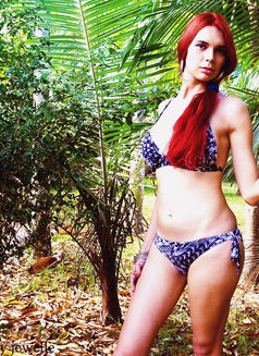 Kelly 2 - Transsexual escort in Singapore Photo 4 of 7