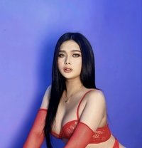 Kelly - Transsexual escort in Manila