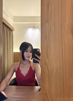 Kelly - Transsexual escort in Bangalore Photo 7 of 7