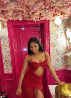 Kelly - escort in Dubai Photo 1 of 6