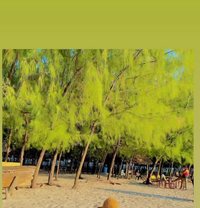 Kerry - puta in Kuala Lumpur