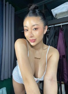 Kelly teenage cutie full service - escort in Doha Photo 6 of 10