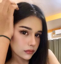 Kelly - Transsexual escort in Ko Samui