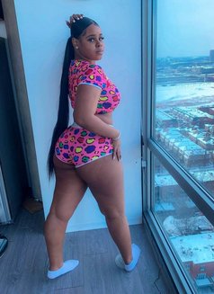 Kerry Best Sexy beautiful Girl In Erbil - escort in Erbil Photo 5 of 5