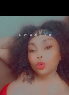 Kellyn arrivals - puta in Dehradun, Uttarakhand Photo 3 of 7