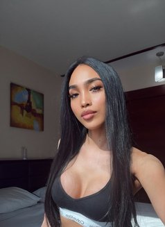 Kendall Asian Stallion Cock - Acompañantes transexual in Dubai Photo 29 of 30