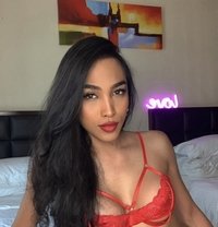 Kendall Asian Stallion Cock - Transsexual escort in Bangkok Photo 24 of 30