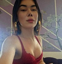 Kendelliciously(escort/vcs/contents) - Acompañantes transexual in Manila