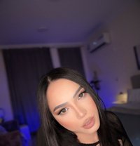 Sissy Kendra - Transsexual escort in Doha