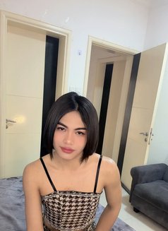 Kenny Ladyboy Thailand 🇹🇭 - Acompañantes masculino in Muscat Photo 7 of 7