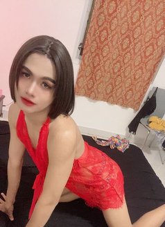 Kenry Ladyboy 69 Mabaila - Transsexual escort in Muscat Photo 1 of 4