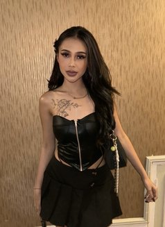 Kenza hot service - escort in Bali Photo 21 of 30