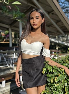 Kenza hot service - escort in Bali Photo 5 of 29