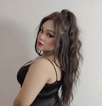 Kenzy - Transsexual escort in Cairo