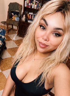 Kenzy - Transsexual escort in Cairo Photo 7 of 8