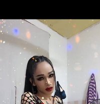 Keo - Acompañantes transexual in Phnom Penh