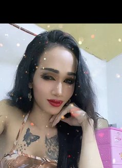 Keo - Transsexual escort in Phnom Penh Photo 3 of 6