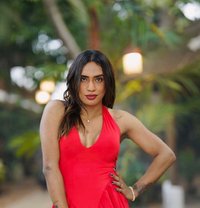 Kerala Celeb Mallu Shemale - Transsexual escort in Bangalore