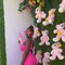 Kerry Berry - escort in Scarborough