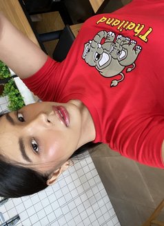 Kesh - Transsexual escort in Kuala Lumpur Photo 20 of 30