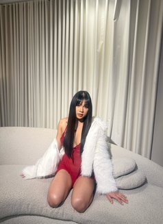 Kate Cute&sexy good Top sweet Bottom - Acompañantes transexual in Riyadh Photo 28 of 30