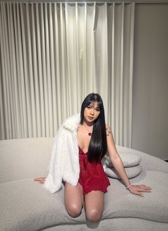 Kate Cute&sexy good Top sweet Bottom - Acompañantes transexual in Riyadh Photo 29 of 30