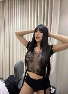 Kesty Cute&sexy both 🇹🇭 - Transsexual escort in Al Manama Photo 22 of 30