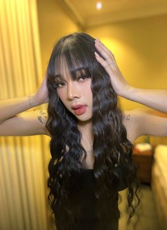 Kesty Cute&sexy both 🇹🇭 - Transsexual escort in Al Manama Photo 24 of 30