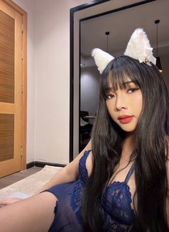 Kesty Cute&sexy both ๐น๐ญ - Transsexual escort in Riyadh Photo 24 of 30