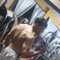 Kevin Male Companion/bull - Male escort in Colombo