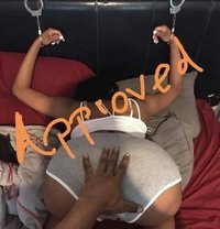 Kevin milf hunter - Male escort in Colombo