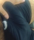 Kevin Oralooff - Sensual Massage - Male escort in Colombo Photo 1 of 4