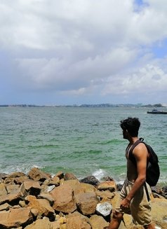 Kevin – Sri Lankan Male - Male escort in Colombo Photo 3 of 3