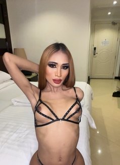 Kewwa69 - Transsexual escort in Pattaya Photo 6 of 11