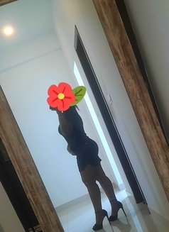 Keyona Vvip Service 🇱🇰 Gfe - escort in Colombo Photo 2 of 6