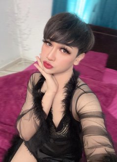Khalifa - Transsexual escort in Doha Photo 1 of 4