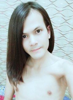Khalifa From Thailand in mabellah - Transsexual escort in Muscat Photo 1 of 17