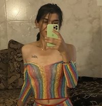 Khayal Khoury - Transsexual escort in Damascus